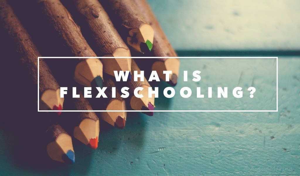 what-is-flexischooling